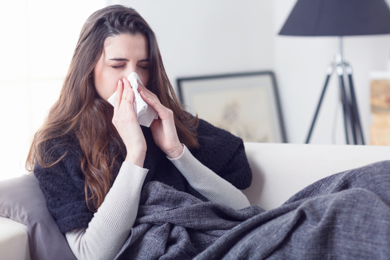 Indoor Air Allergies
